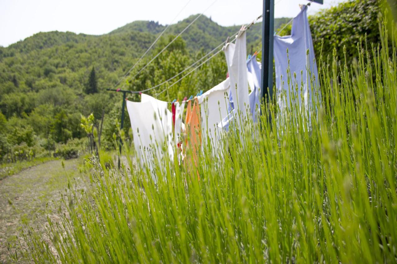 Villa Porcigliano Olive Grove Polcanto Extérieur photo