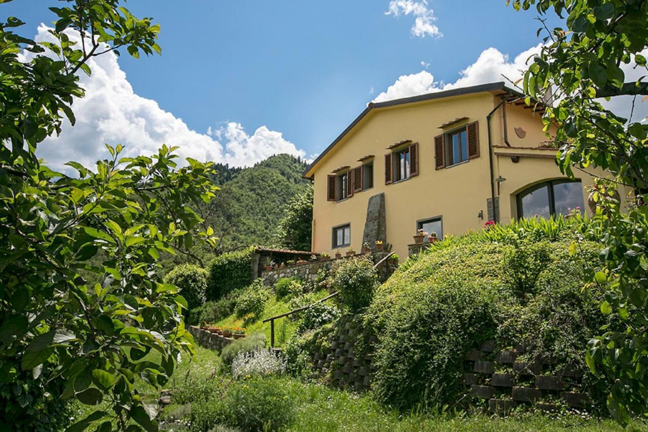 Villa Porcigliano Olive Grove Polcanto Extérieur photo